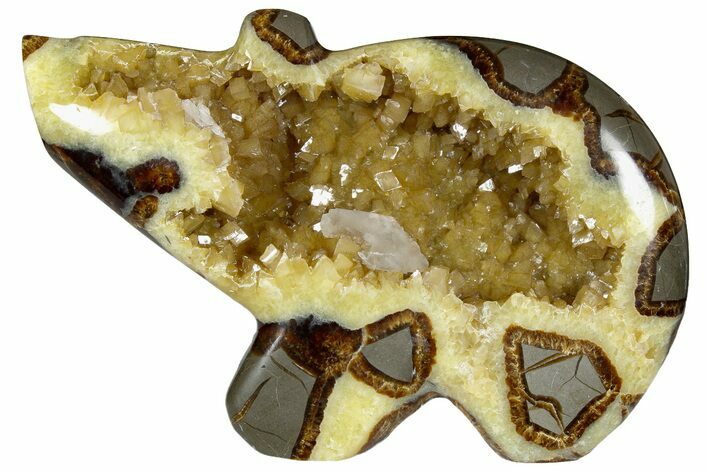 Calcite Crystal Filled, Polished Septarian Bear - Utah #176031